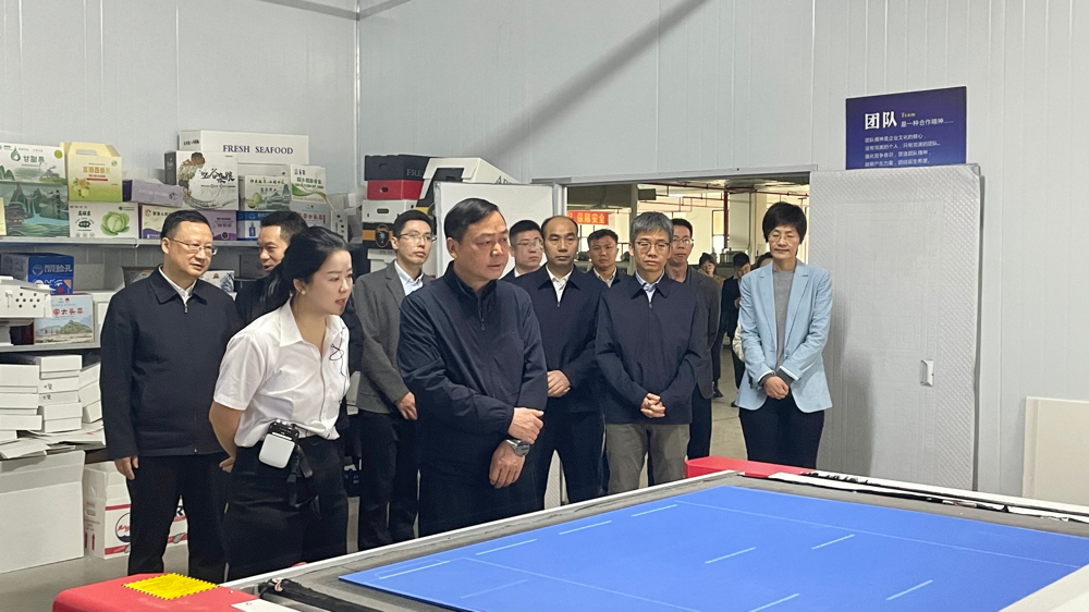 市政府主要領(lǐng)導(dǎo)蒞臨綠樹(shù)公司考察調(diào)研